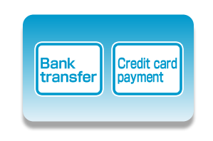 Flexible payment system